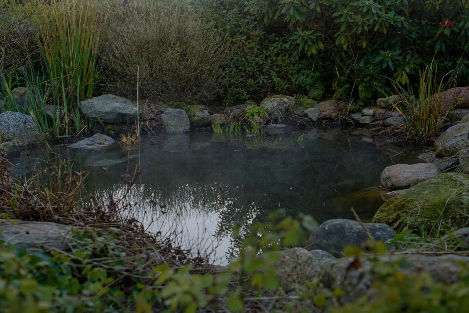 Gartenteich am frühen Morgen mit ruhiger Wasseroberfläche und bepflanztem Steinrand (computergeneriertes Symbolbild)