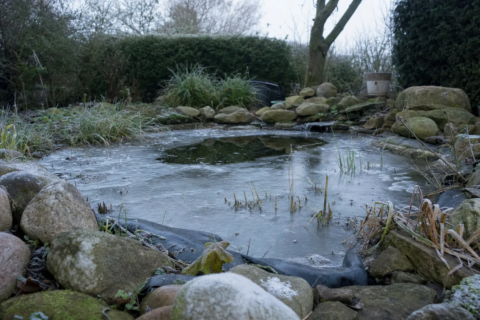 Teilweise zugefrorener Gartenteich mit einer offenen Stelle in der Eisdecke (computergeneriertes Symbolbild)