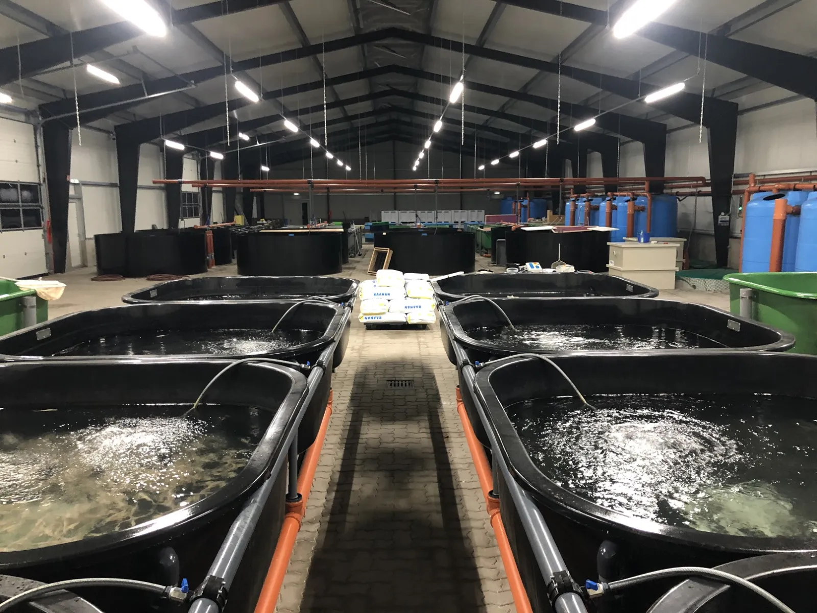 Becken mit Kreislaufwasser in einer Halle der Fischzucht Hagedorn