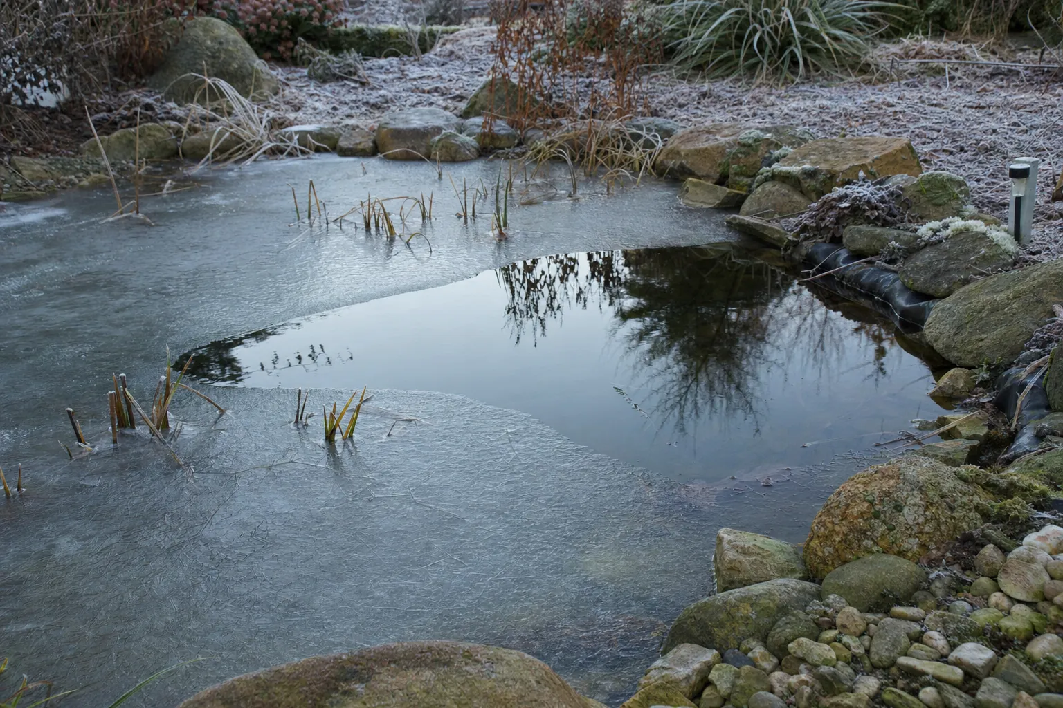Gartenteich im Winter mit teilweise geschlossener Eisdecke und einer offenen Stelle (computergeneriertes Symbolbild)